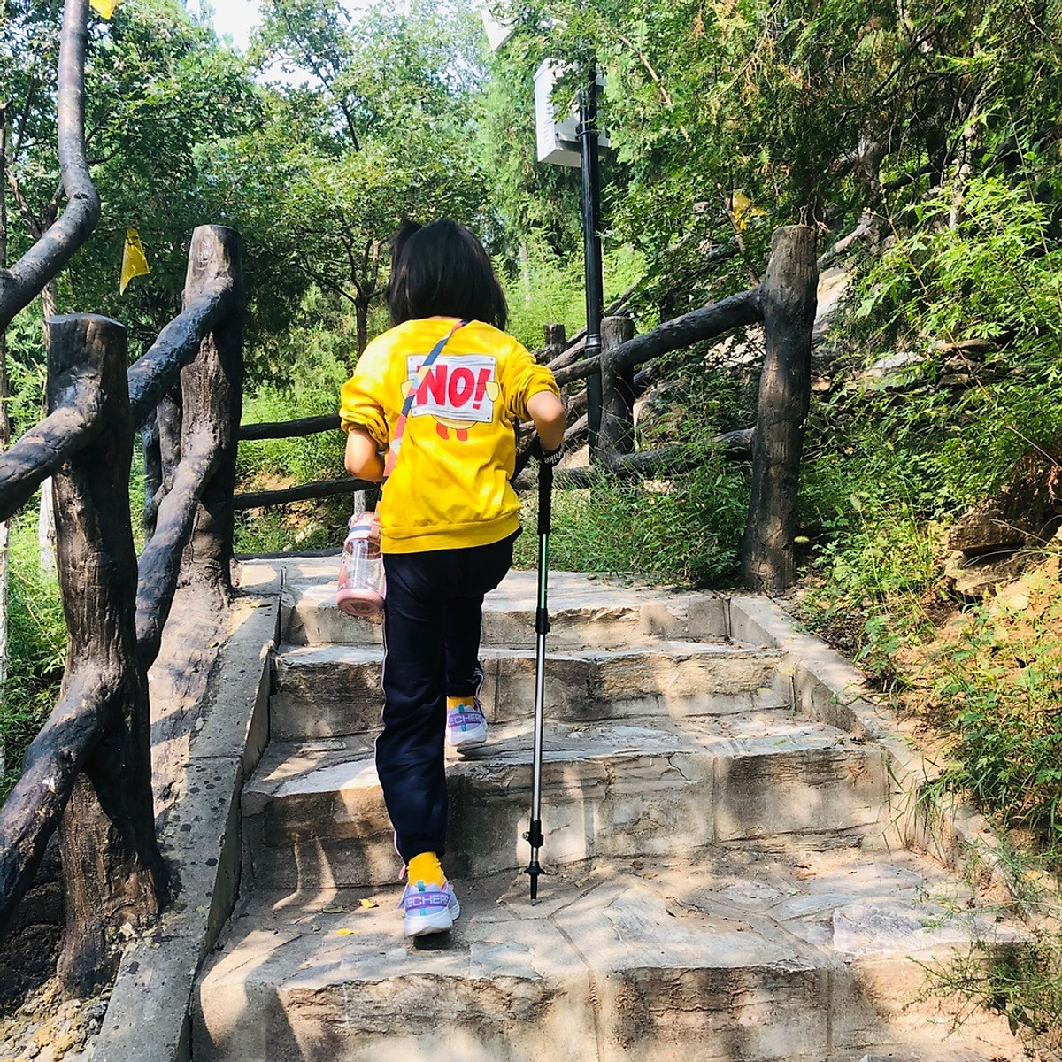 Gậy Trekking Leo Núi Gấp Gọn Naturehike NH17D001-Z