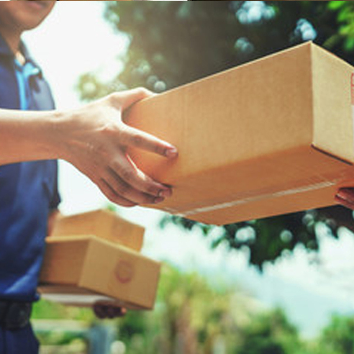 Quy trình chuyển phát nhanh trà Atiso đi Đức tại HueLogistics