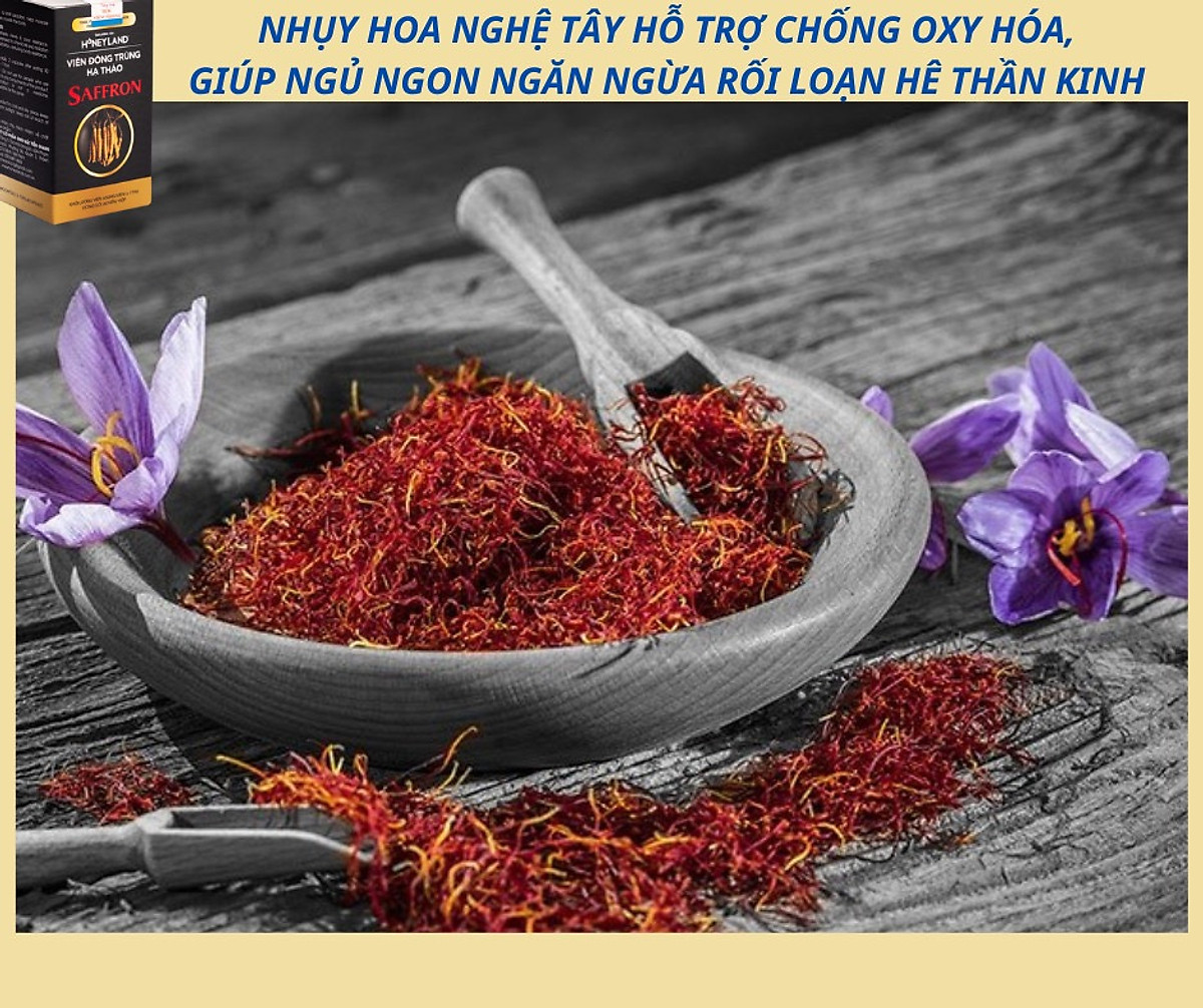 Saffron - Nhụy hoa nghệ tây