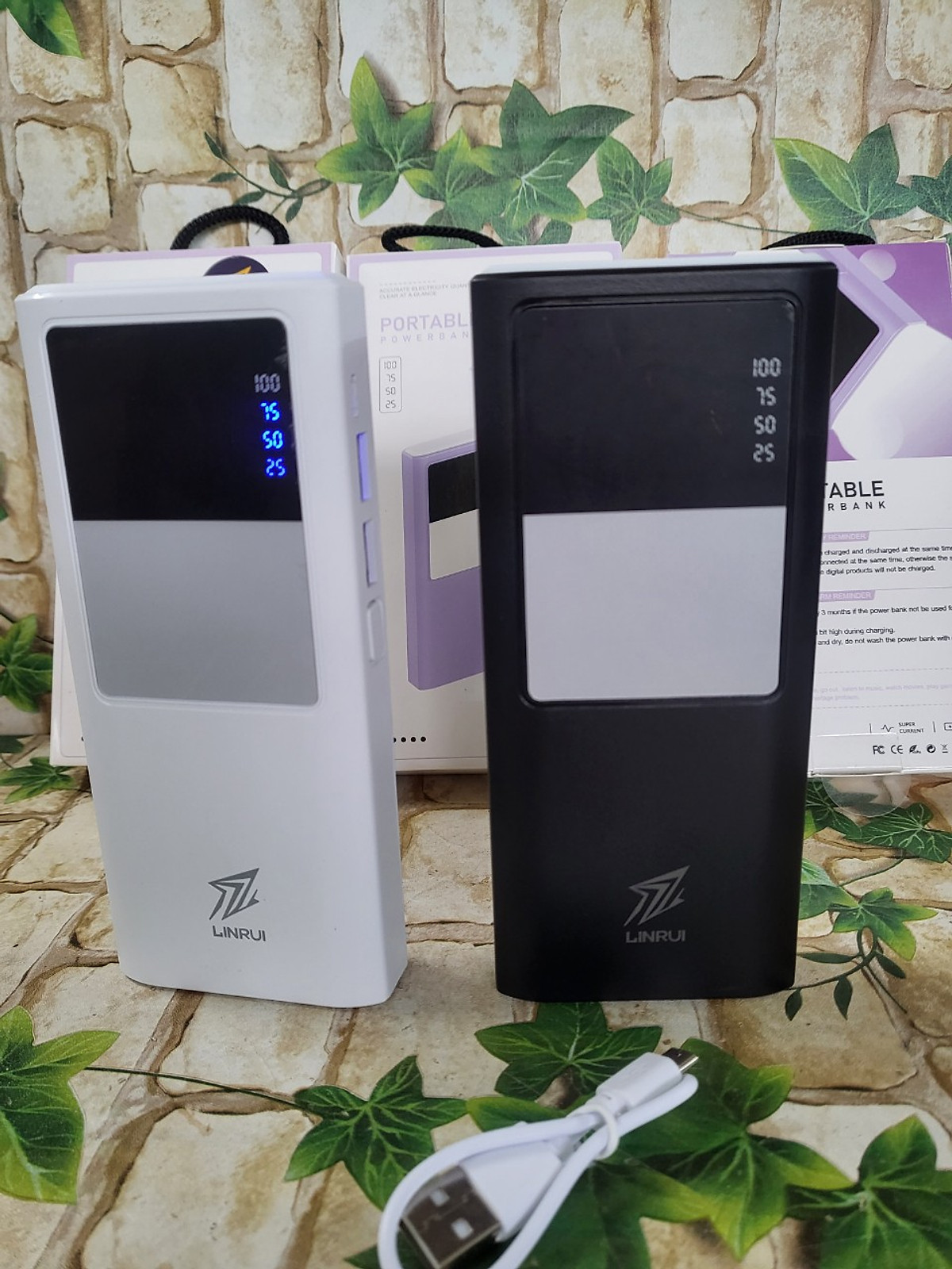 Pin Sạc Dự Phòng LINRUI LR004 10000mAh 2 Cổng USB Sạc 2 Thiết BỊ Cùng Lúc Tiện Lợi - Hàng Chính Hãng - Màu Ngẫu Nhiên