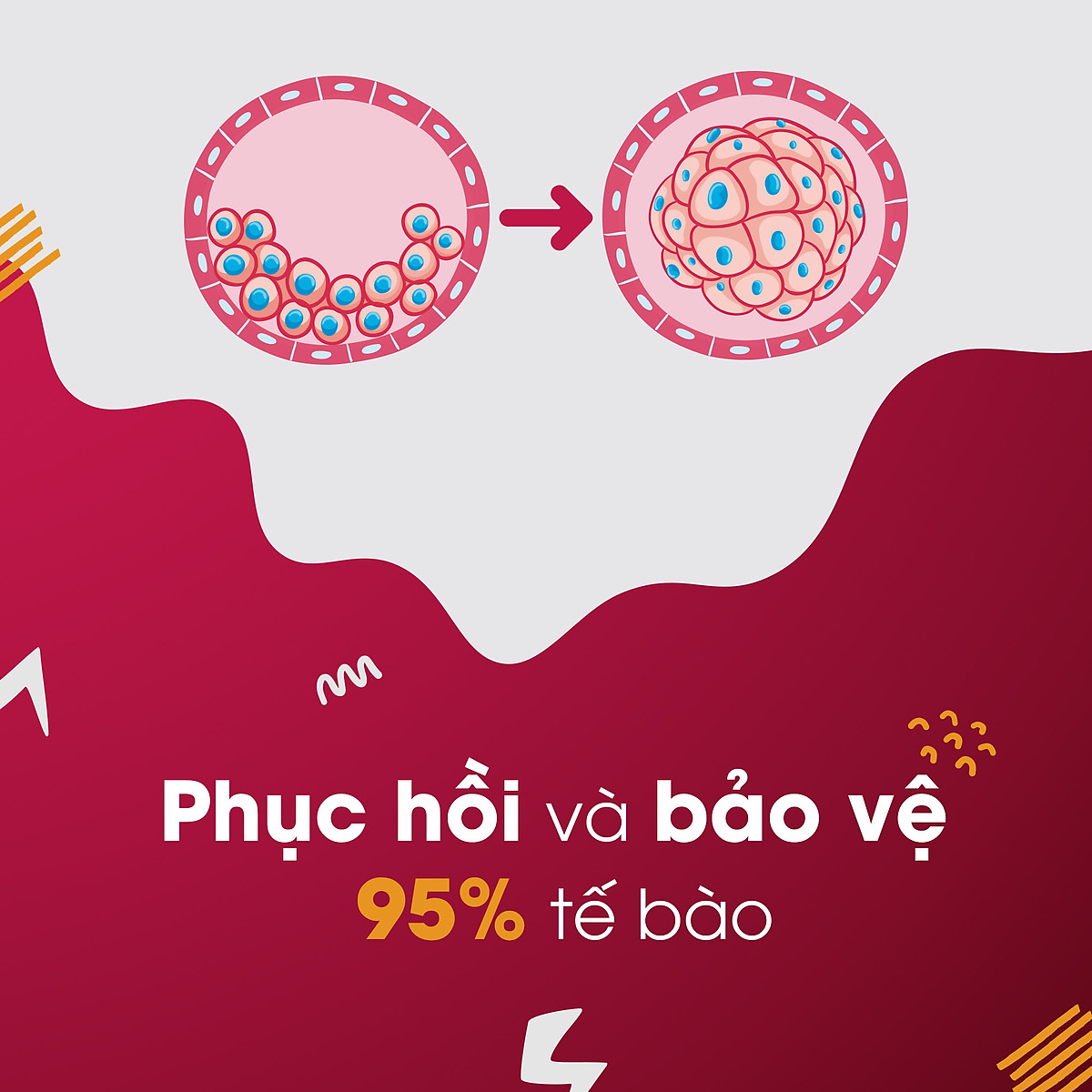 Viên uống đẹp da Collagen Sắc Ngọc Khang 120 viên thế hệ mới giúp sáng da, giảm nếp nhăn - đốm nâu, nuôi dưỡng và làm đẹp da , tóc, móng