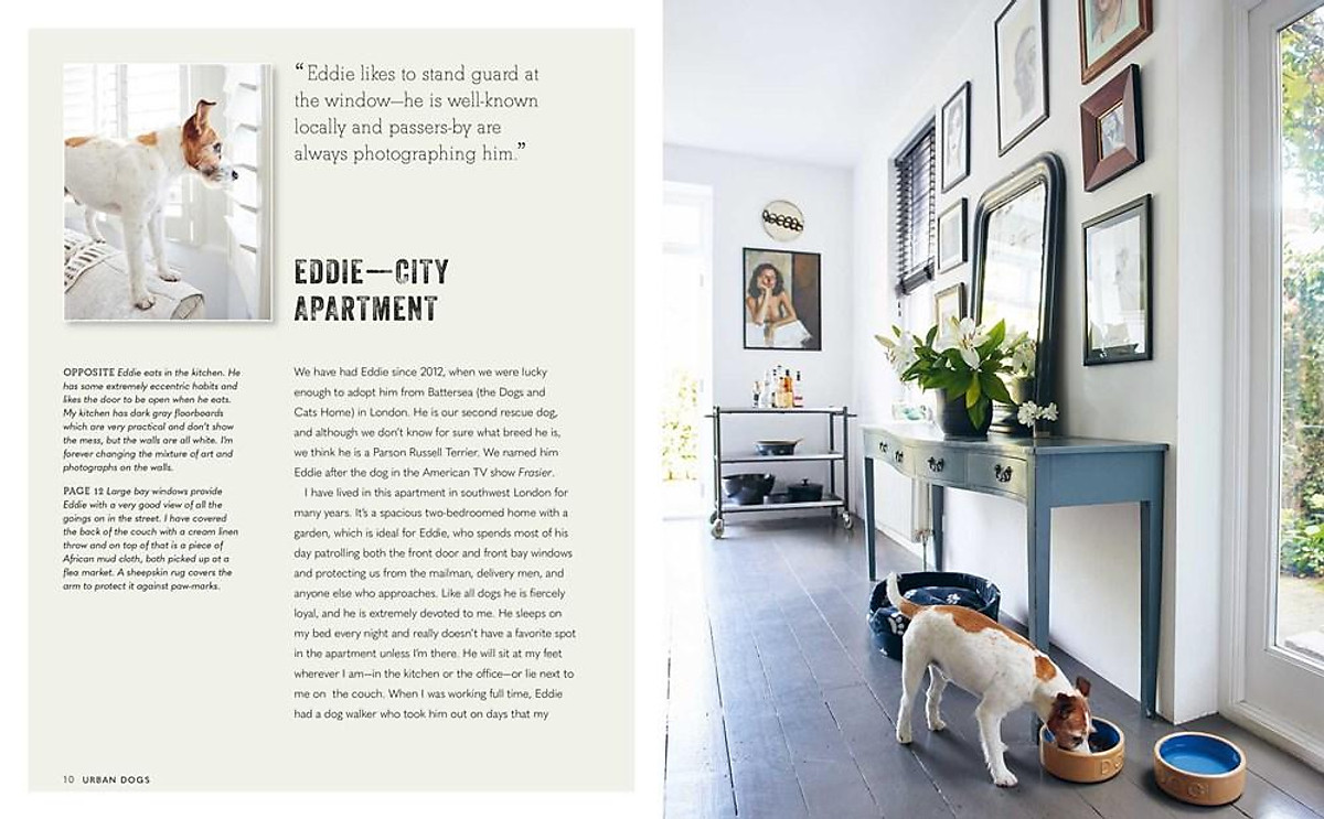 Sách - Cool Dogs, Cool Homes - Living in style with your pe by Geraldine James (US edition, Hardcover Paper over boards)