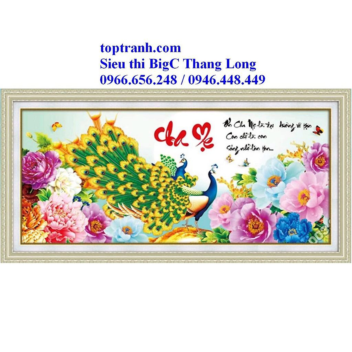 Tranh thêu chữ thập chữa cha mẹ chim công và hoa mẫu đơn 88952 chưa thêu Tranh Thêu Chữ Thập Chữa Cha Mẹ Chim Công Và Hoa Mẫu Đơn 88952 Chưa Thêu