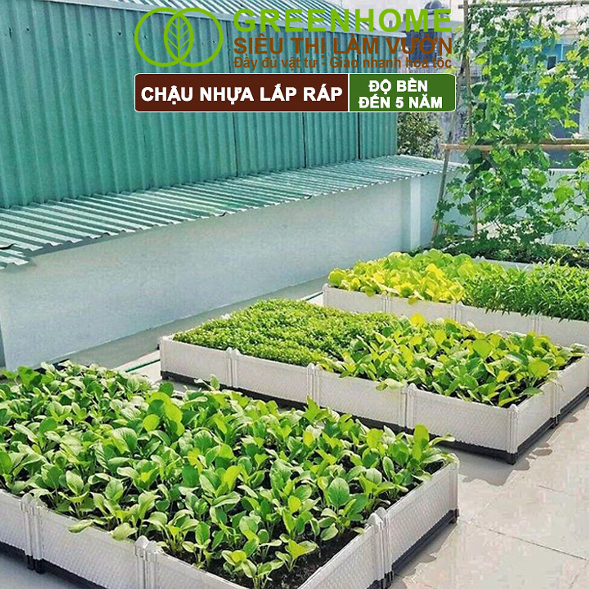Chậu Trồng Cây Greenhome, Nhựa Nguyên Sinh Lắp Ráp, Nhiều Kích Thước, Trồng Hoa Hồng, Rau, Củ, Quả, Độ Bền 5 Năm