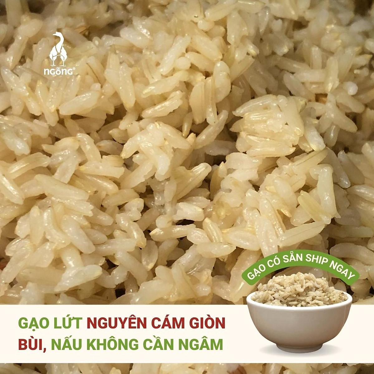 Gạo Sinh Thái ST25 xát lứt - Ruộng Rươi, Tôm 3kg - Gạo, nếp