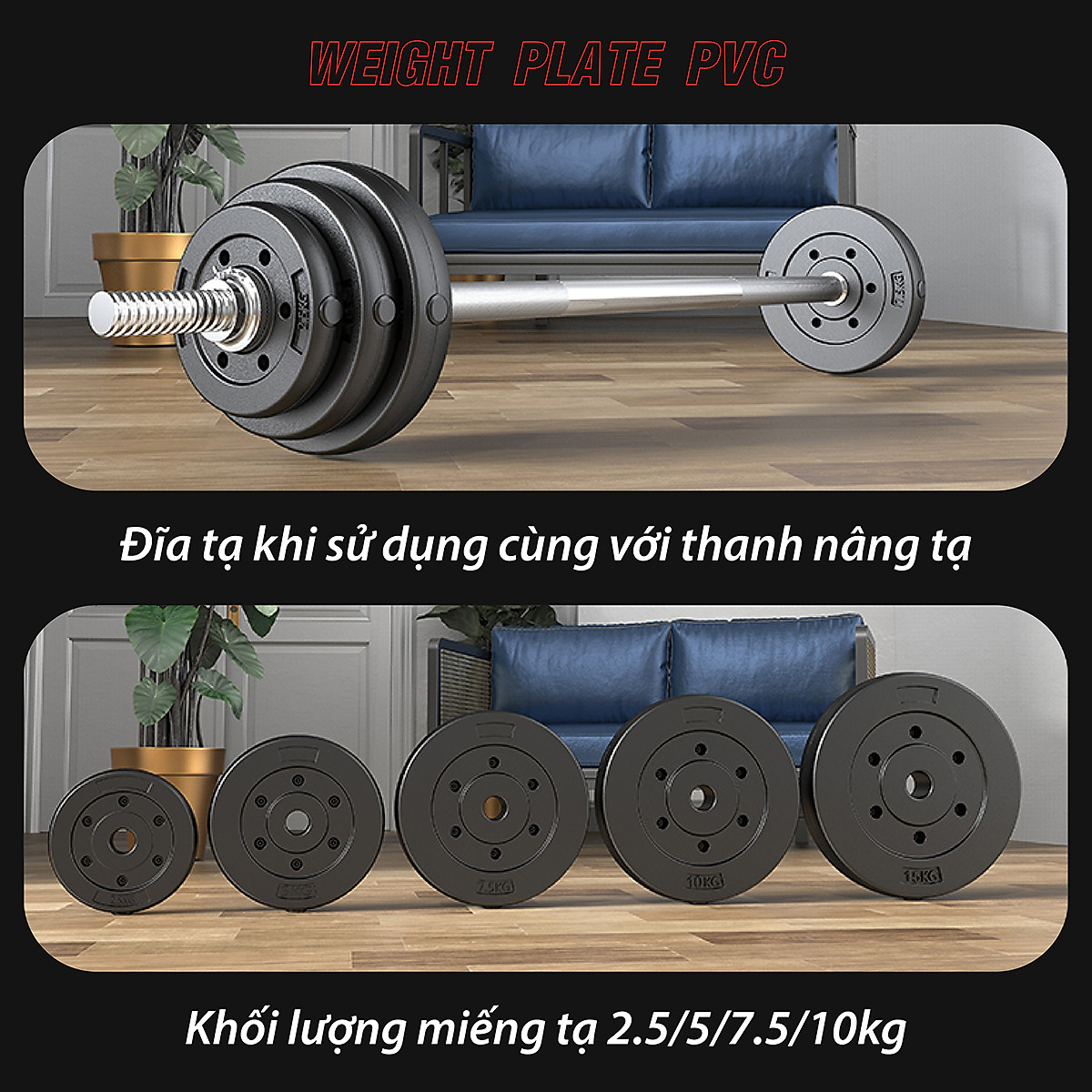 BG Bánh Tạ Nhựa 1.25kg - 20KG Đặc Ruột - Sẵn Kho Giao Liền - Tạ Miếng Nhựa