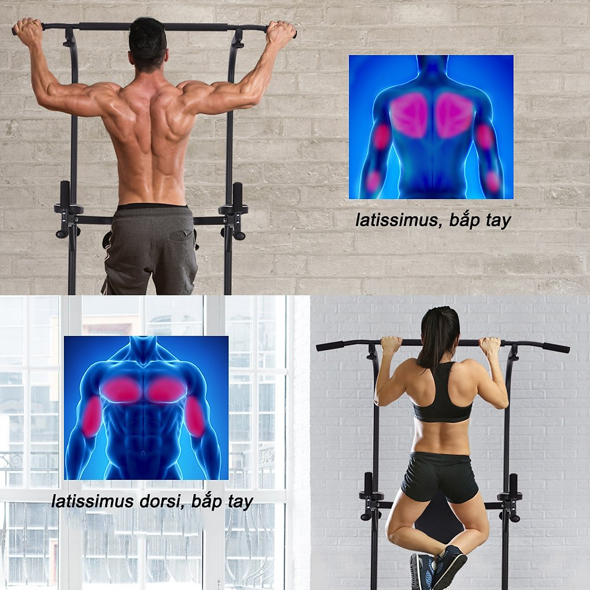 Xà Đơn,Xà kép Đa Năng EX30 Bản Cao Cấp Tiêu Chuẩn Phòng Gym(Tặng Bộ 5 Dây đàn Hồi Cao Cấp 11 chi tiết)Ảnh Thật chi tiết dưới mô tả