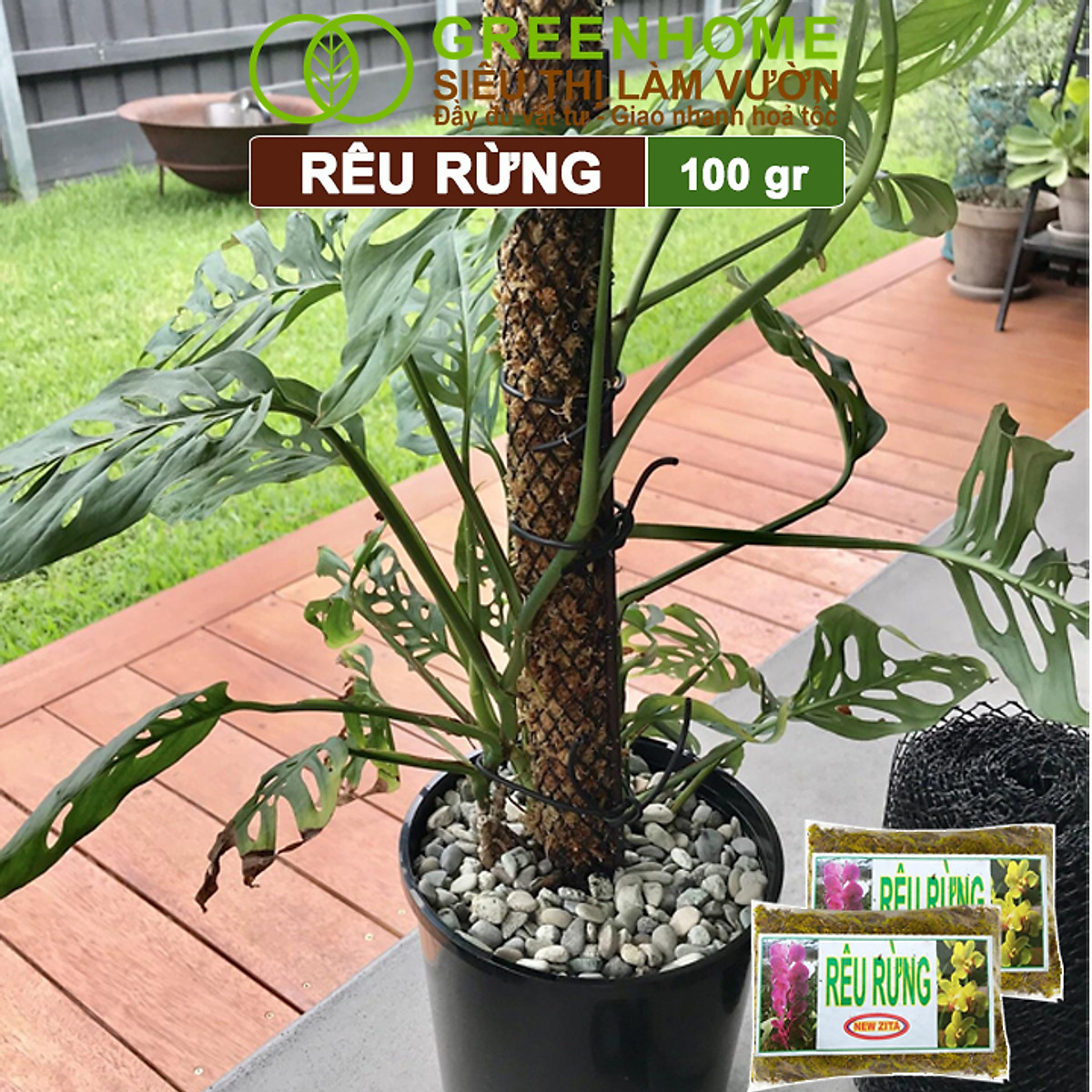 Rêu rừng Greenhome, Newzita, Gói 100gr, Đã Qua Xử Lý, Giá Thể, Giữ Ẩm Tốt, Kháng Khuẩn Tự Nhiên, Trồng Lan, Kiểng Lá