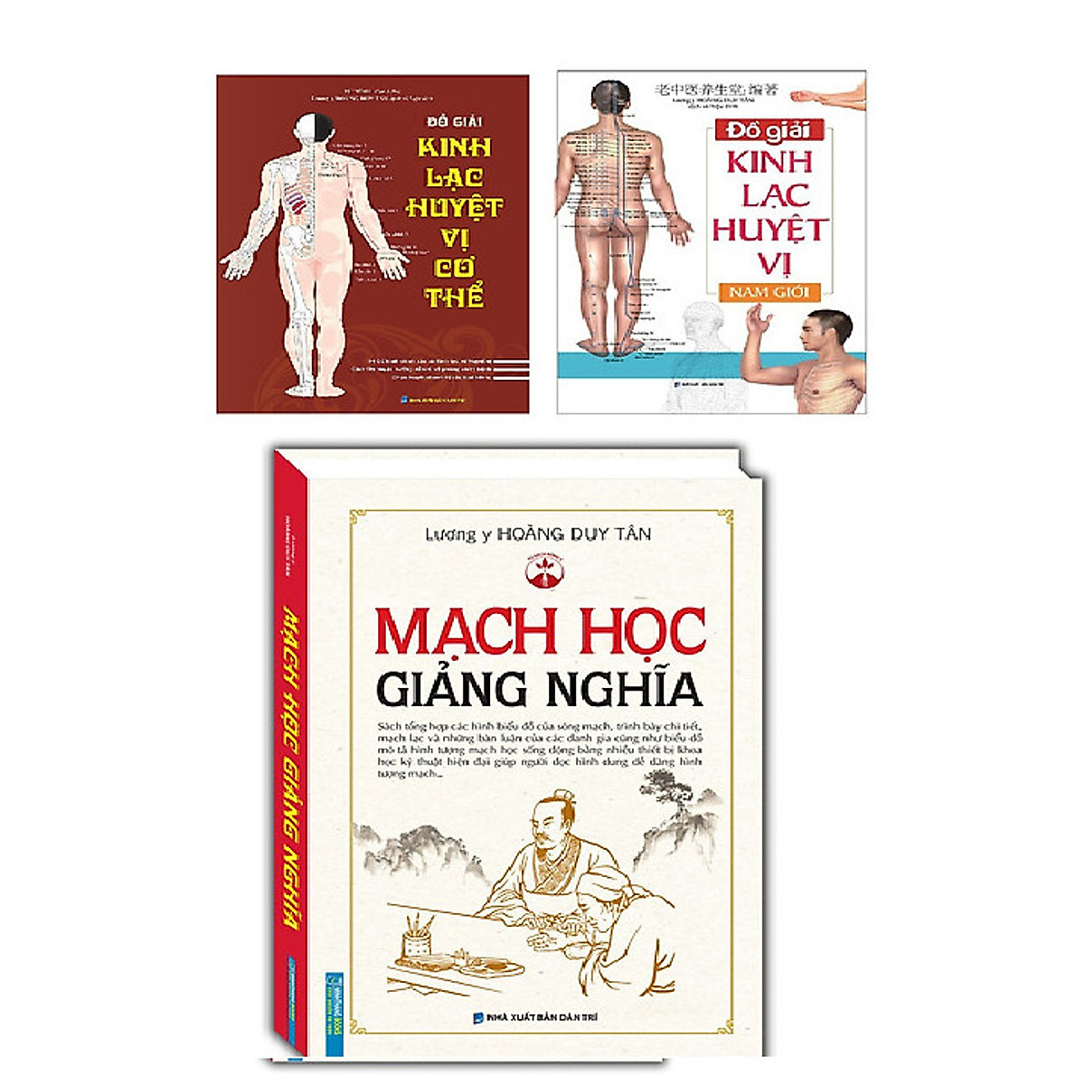 Sách Combo Đồ Giải Kinh Lạc Huyệt Vị Cơ Thể / Đồ giải Kinh Lạc Huyệt Vị Nam giới/Mạch Học Giảng Nghĩa (Bìa Cứng)