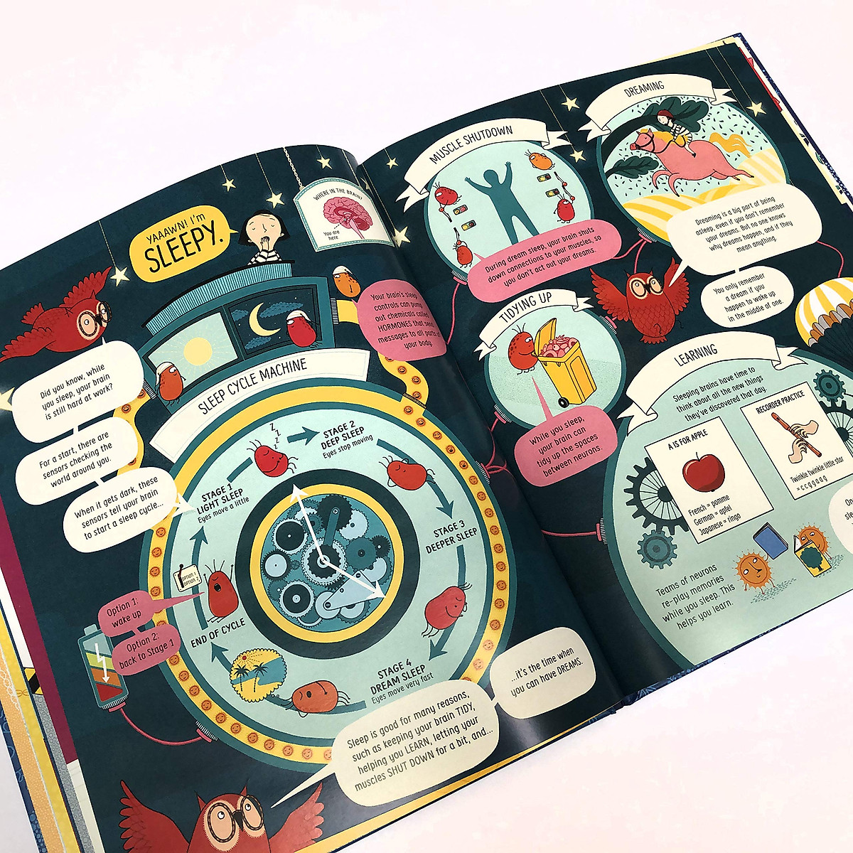 Sách - Anh: Usborne Book Of The Brain And How It Works