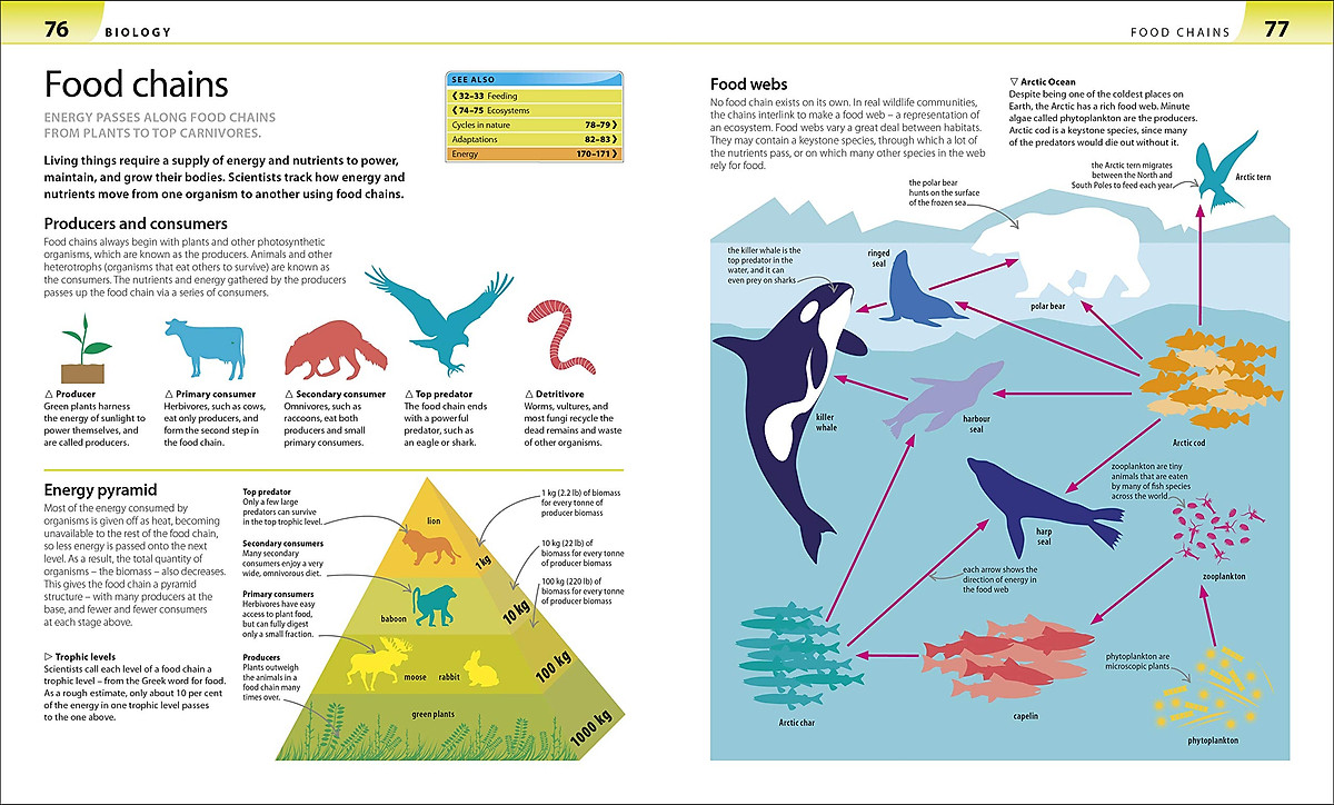 Sách Help Your Kids with Science : A Unique Step-by-Step Visual Guide, Revision and Reference ( Giúp Con Bạn Làm Quen Với Khoa Học ) - Sách Khám Phá, Tổng Hợp Kiến Thức Khoa Học Cho Trẻ Từ 8 Tuổi Đến 15 Tuổi - Á Châu Books, Bìa Mềm, In Màu