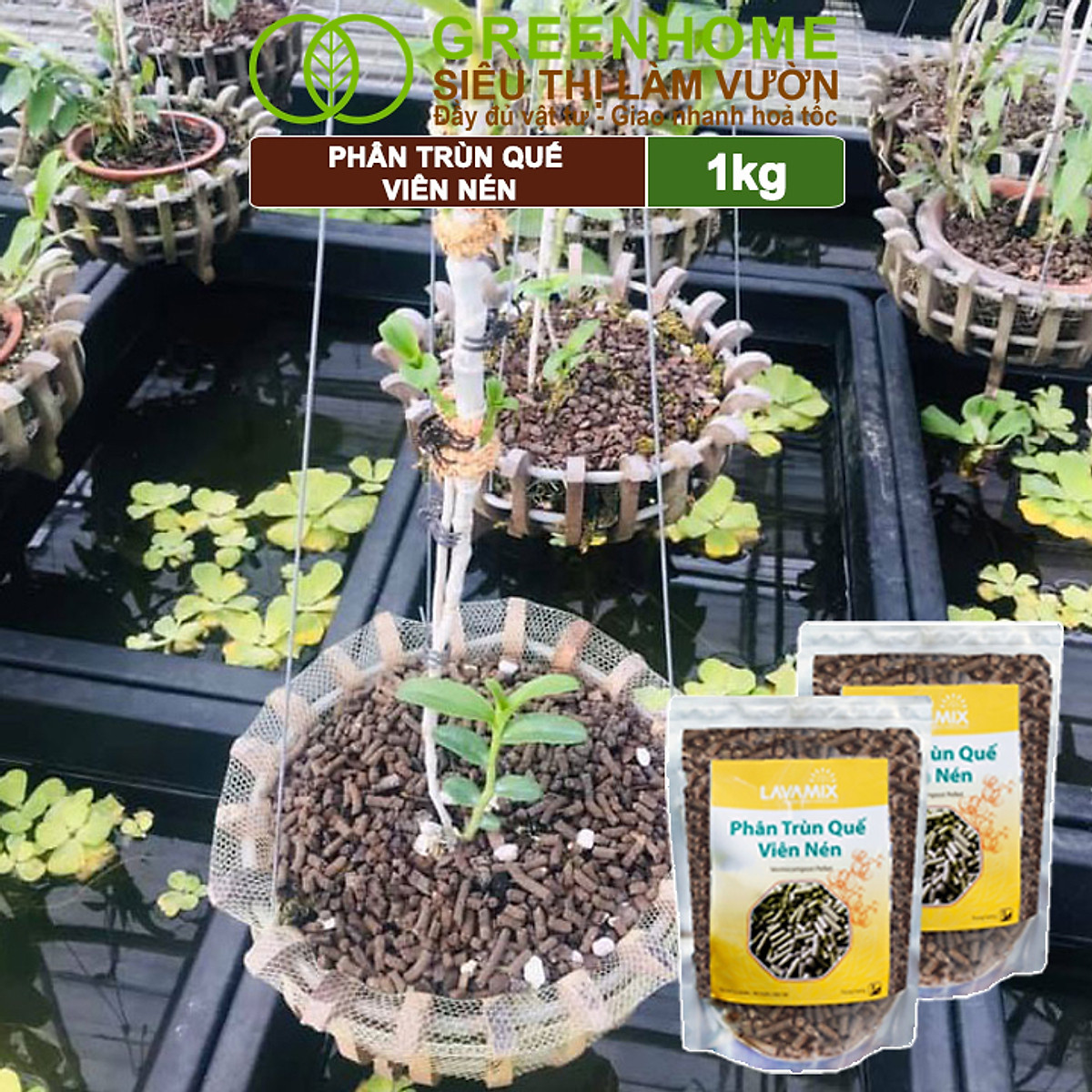 Phân Trùn Quế Viên Nén Greenhome, Lavamix, Bao 1kg, Dinh Dưỡng Hữu Cơ, Không Mùi, Tốt Cho Lan, Bonsai, Rau, Cây Ăn Trái