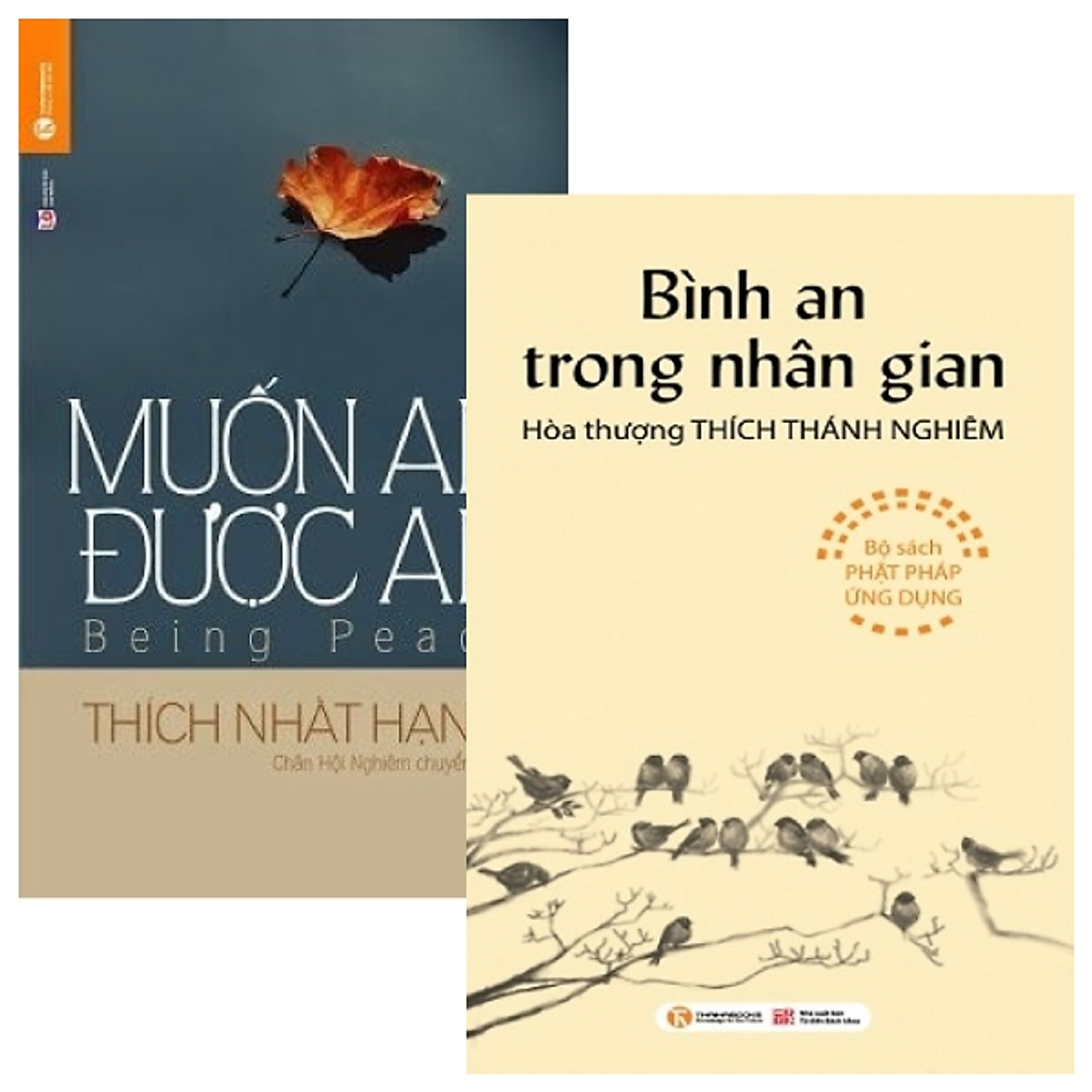 Combo Bình An Trong Nhân Gian + Muốn An Được An (Bộ 2 Cuốn)