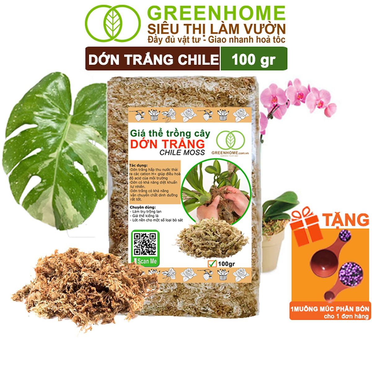 Dớn Trắng Chile Greenhome, Newzita, Gói 100gr, Đã Qua Xử Lý, Giá Thể, Giữ Ẩm Tốt, Kháng Khuẩn Tự Nhiên, Trồng Lan, Kiểng
