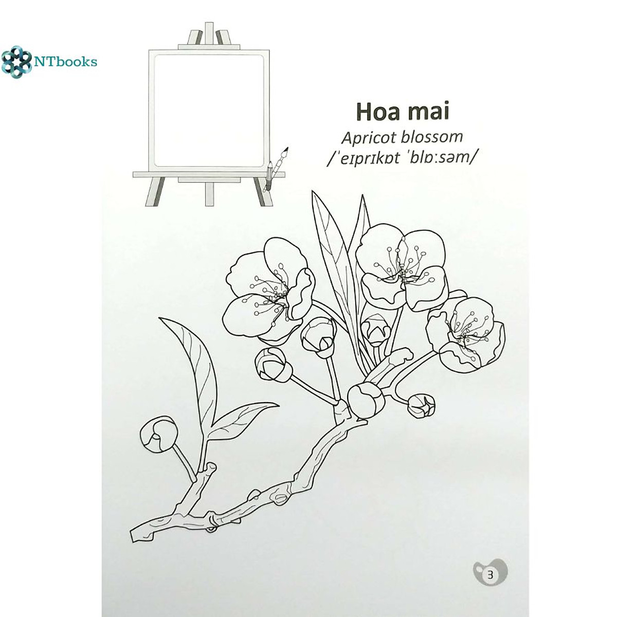Tranh tô màu vườn hoa đẹp nhất dành cho bé yêu