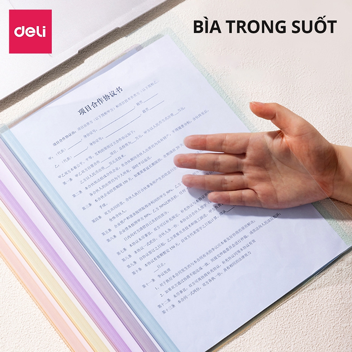 File Đựng Tài Liệu Gáy Rút Deli Bìa Trong Kẹp Tài Liệu Giấy Tờ Hồ Sơ Tiện Lợi Cho Học Sinh Văn Phòng Phẩm Màu Pastel