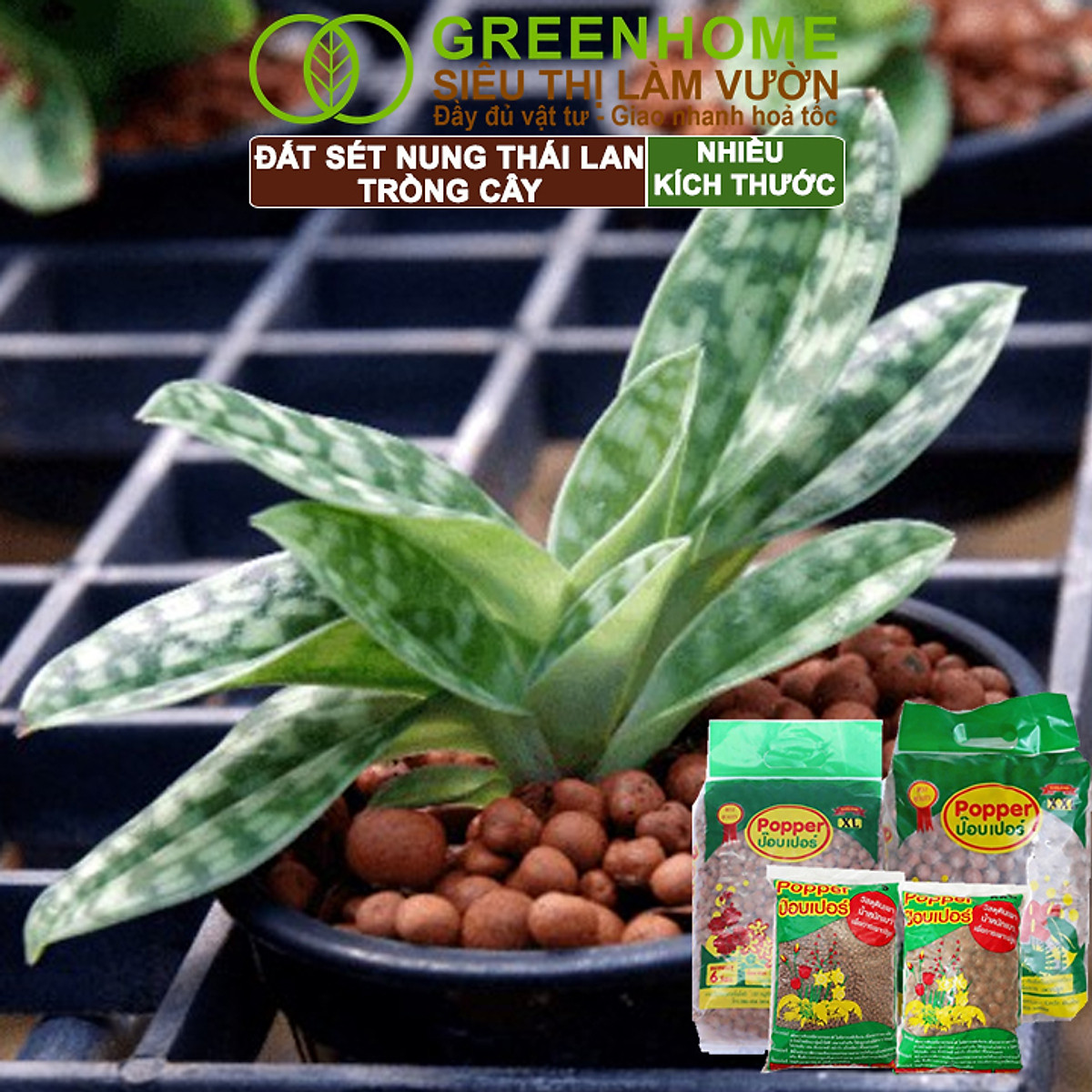 Đất Sét Nung Trồng Cây Greenhome, Bao 6lít, Thái Lan, Trồng Sen Đá, Phong Lan, Sứ, Thuỷ Canh, Chống Mọc Cỏ, Thoáng Khí
