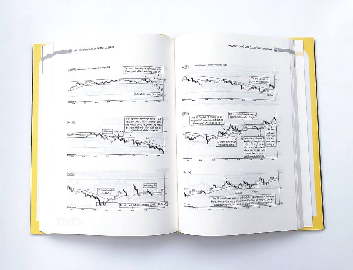 Thấu hiểu Hành vi giá Thị trường Tài chính (Understanding Price Action)