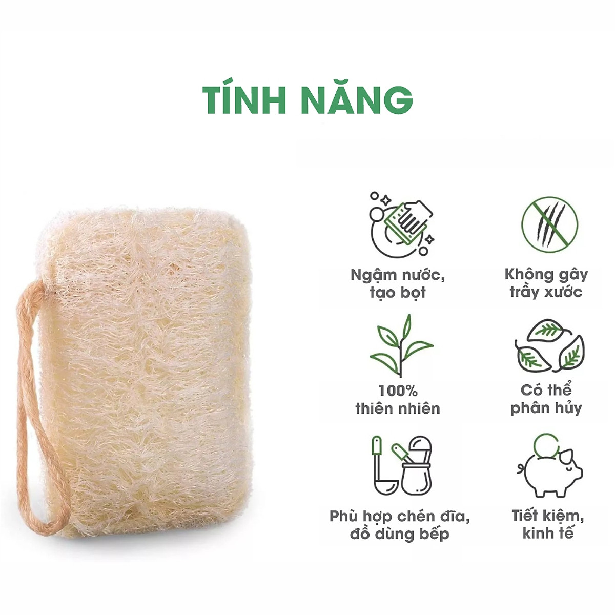 Xơ Mướp Rửa Chén Bát Xoong Nồi Cao Cấp ECODEALS - 100% xơ mướp hữu cơ, kích thước lớn, chỉ may chắc chắn
