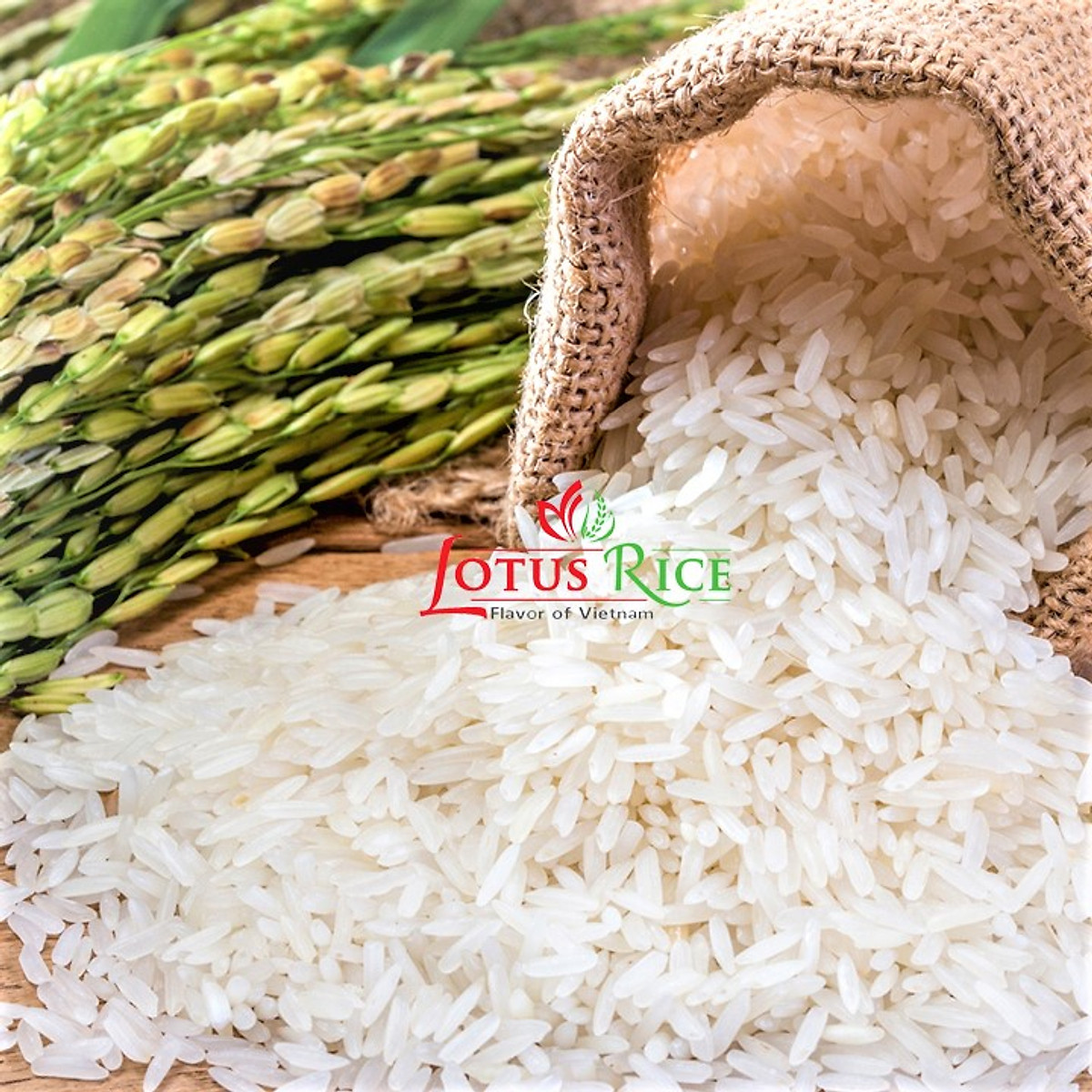 Gạo Lotus Rice Nàng Sen Tài Lộc túi 4kg 1