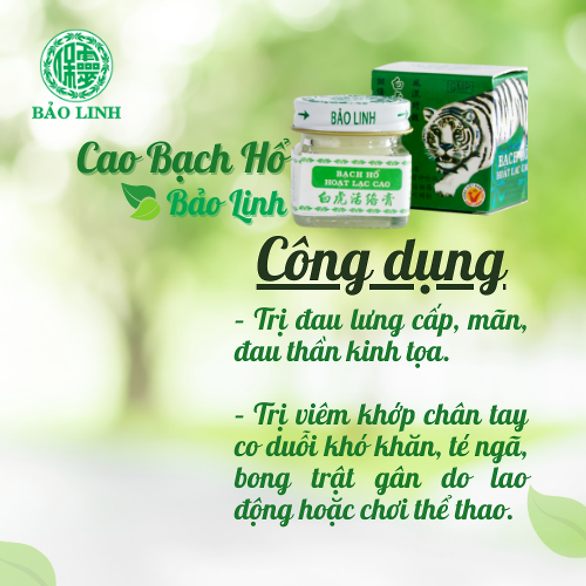 Cao Xoa Bóp Bạch Hổ Hoạt Lạc Cao BẢO LINH 20gram - Giảm nhức mỏi xương khớp, giảm đau lưng, cổ vai gáy, thần kinh toạ
