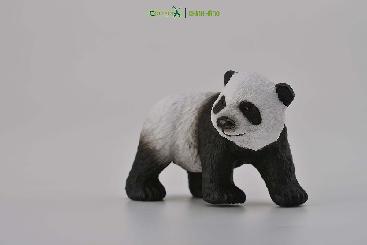 Mô hình thu nhỏ: Gấu Trúc con - Giant Panda Cub - Standing, hiệu ...