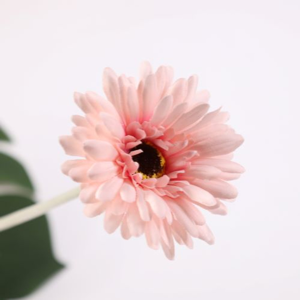 Mua Combo HOA ĐỒNG TIỀN, Hoa Giả, Hoa Lụa, Hoa trang trí bền đẹp ...