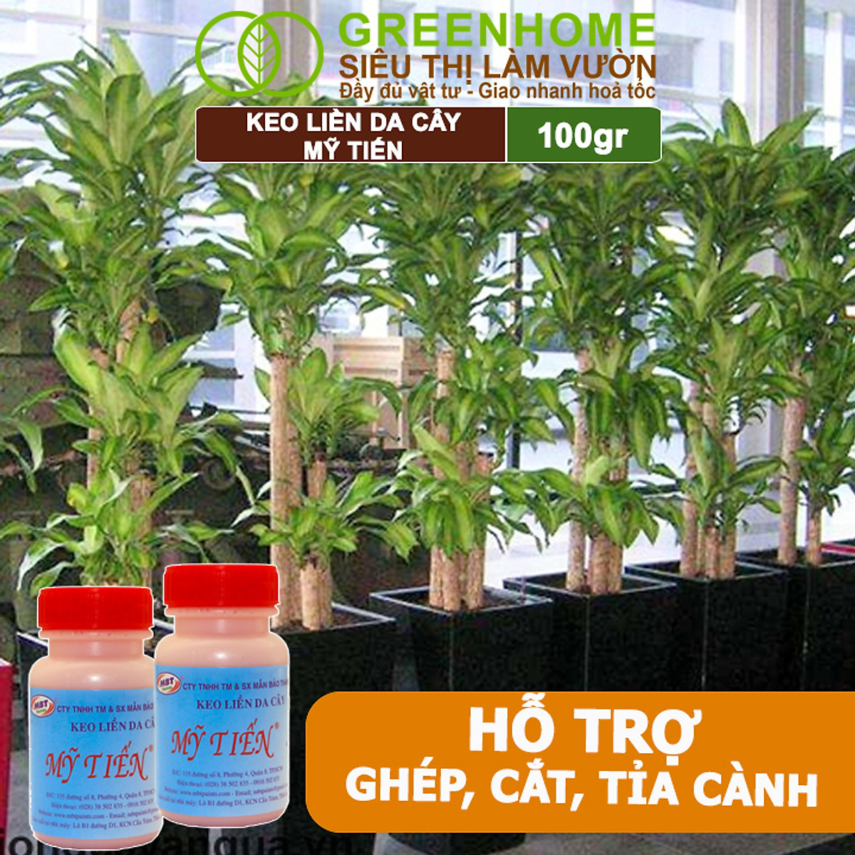 Keo Liền Sẹo Cho Cây Greenhome, Mỹ Tiến, Chai 100gr, Liền Nhanh Vết Cắt Da Cây, Chiết Cành, Tạo Dáng Bonsai, Lan, Kiểng