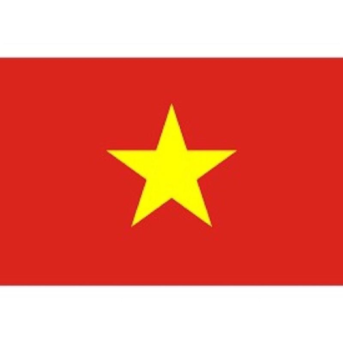 Lá cờ đỏ sao vàng tổ quốc Việt Nam - Trang trí nhà cửa khác