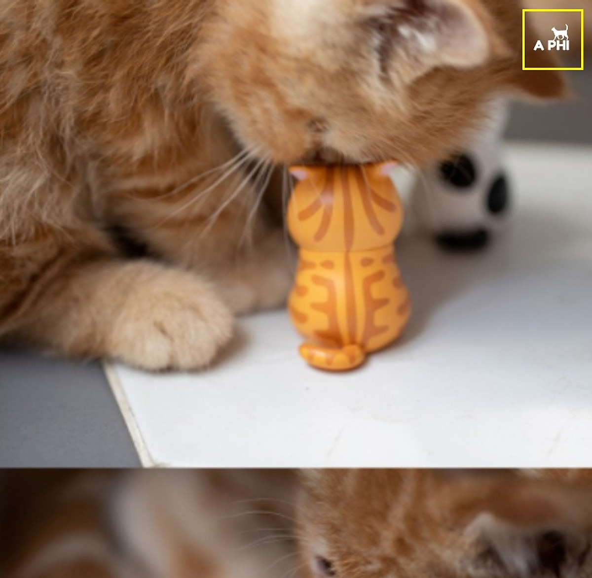 Bộ 9 mô hình mèo buồn bã đáng yêu - Mô hình & Tượng trang trí