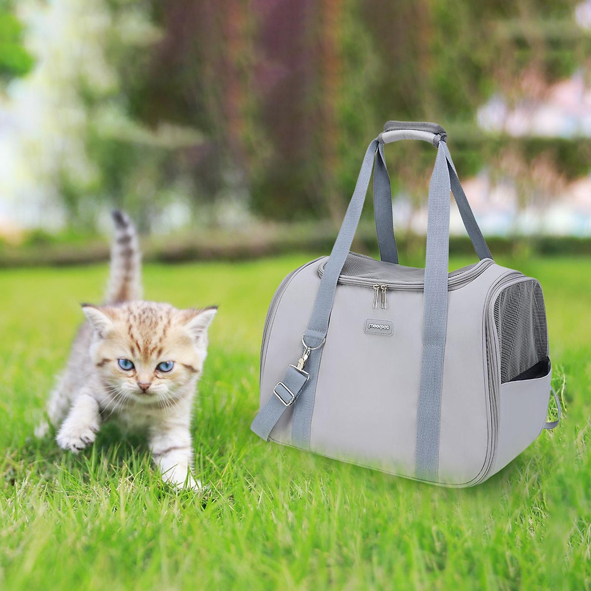Cat Travel Bag Best Sale - www.illva.com 1693606547