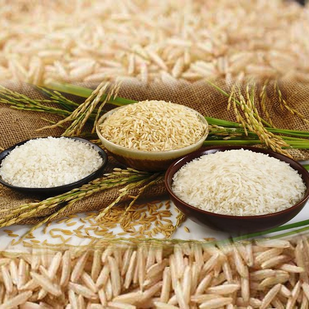 Gạo Basmati India (Ấn Độ), chỉ số đường huyết (GI) thấp, tốt cho người bị tiểu đường, Túi 5kg