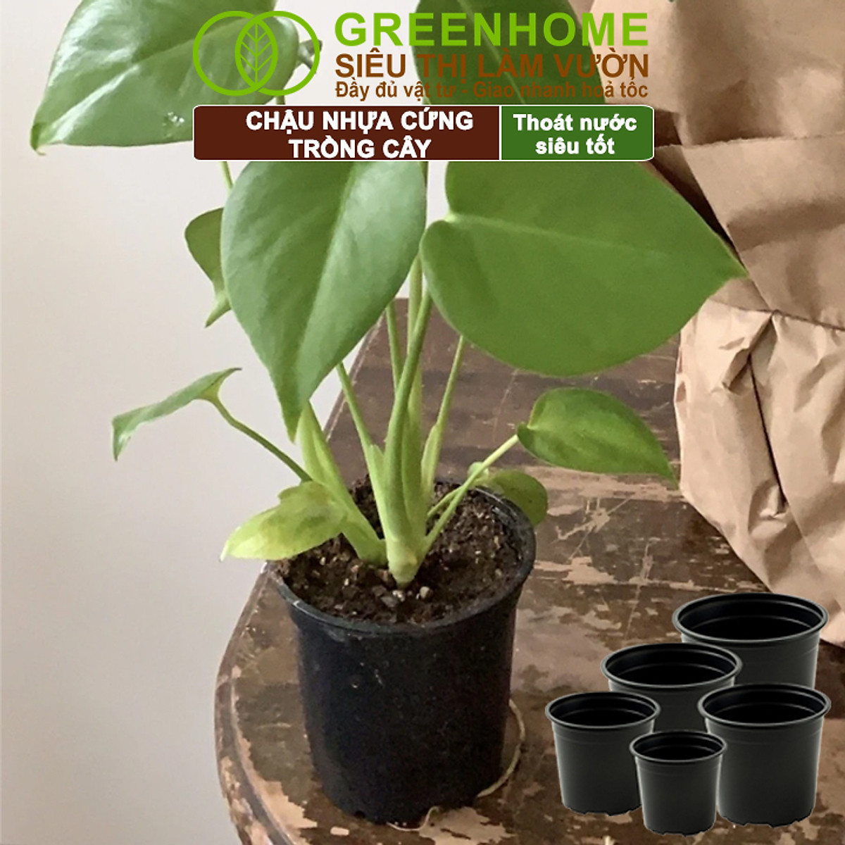 Bộ 3 Chậu nhựa trồng cây, nhiều kích thước, thoát nước tốt, đa dạng kích thước trồng cây, hoa, kiểng lá |Greenhome