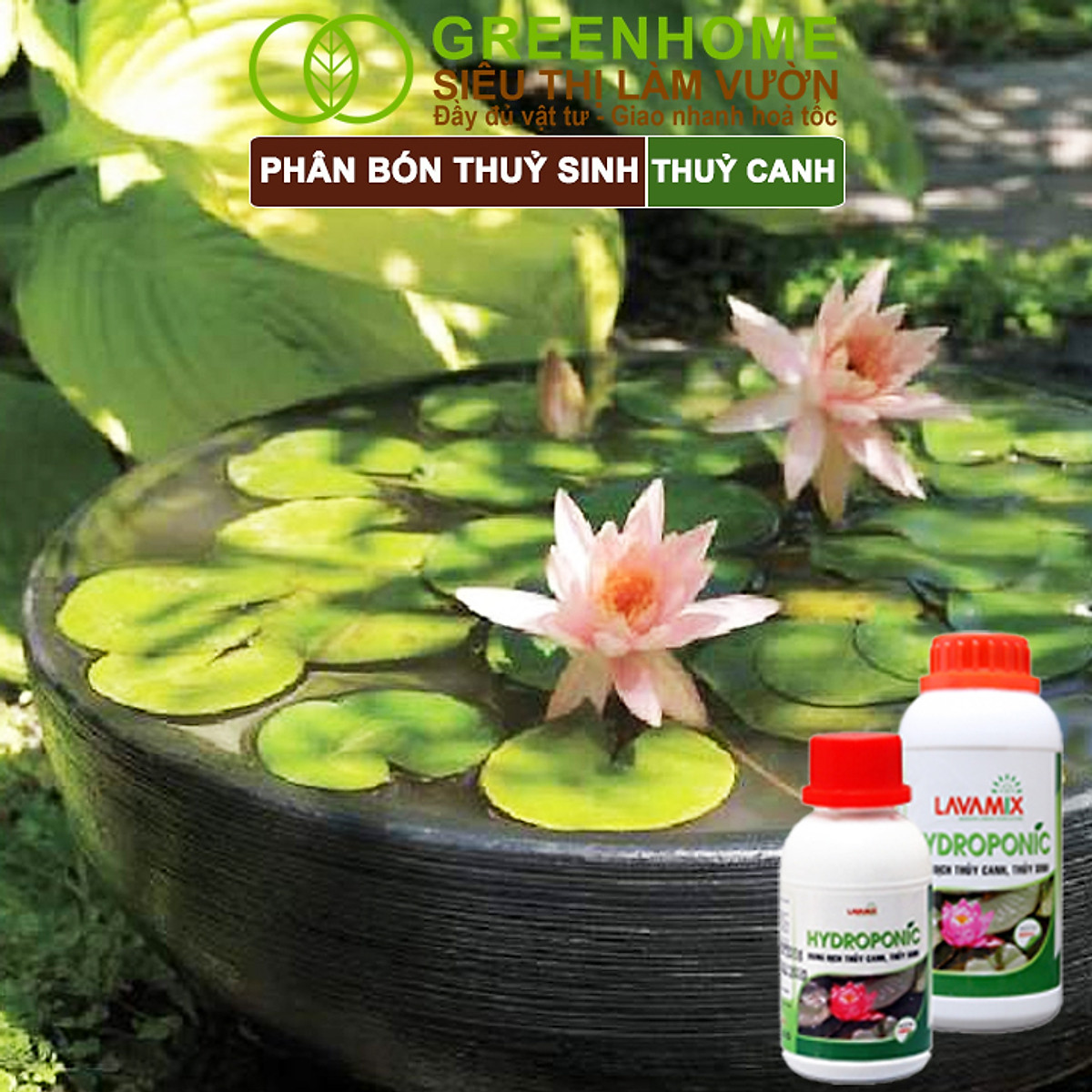 Dung Dịch Thủy Canh Greenhome, Lavamix, Phân Bón Cây Thuỷ Sinh, Hoa Sen, An Toàn Cho Cá, Tép Cảnh
