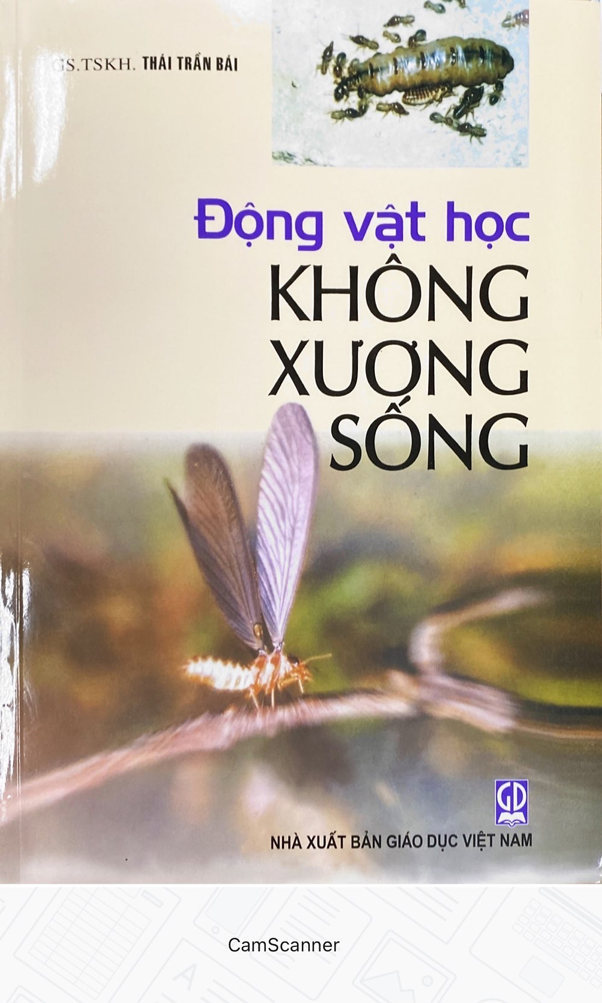 Động Vật Học Không Xương Sống - Thái Trần Bái - TB lần 11 năm 2022