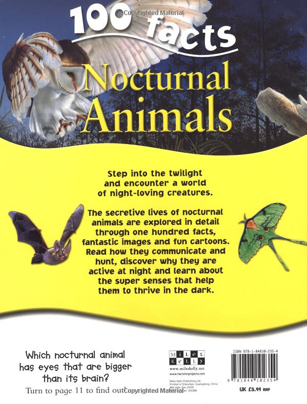 Mua 100 Facts Nocturnal Animals Mua 100 Facts Nocturnal Animals