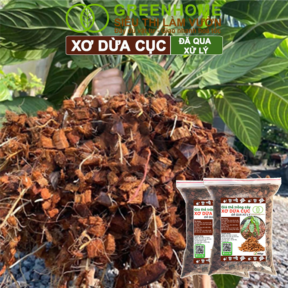 Xơ Dừa Cục Greenhome, Bao 400gr, Giá Thể Đã Qua Xử Lý, Size 1-2cm, Viên Đều Đẹp, Sạch Khuẩn, Trồng Kiểng Lá, Lan