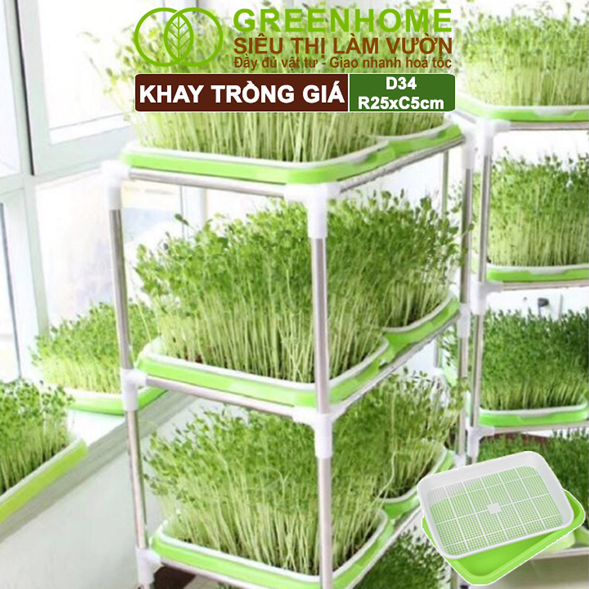 Khay Trồng Rau Greenhome, D34xR25xC5cm, Nhựa Nguyên Sinh, An Toàn, Chuyên Trồng Giá, Rau Mầm Tại Nhà, Không Cần Đất