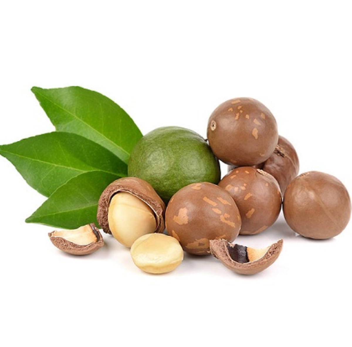 1KG - COMBO 2 HŨ HẠT MACCA CAO CẤP TÂN LỘC PHÁT
