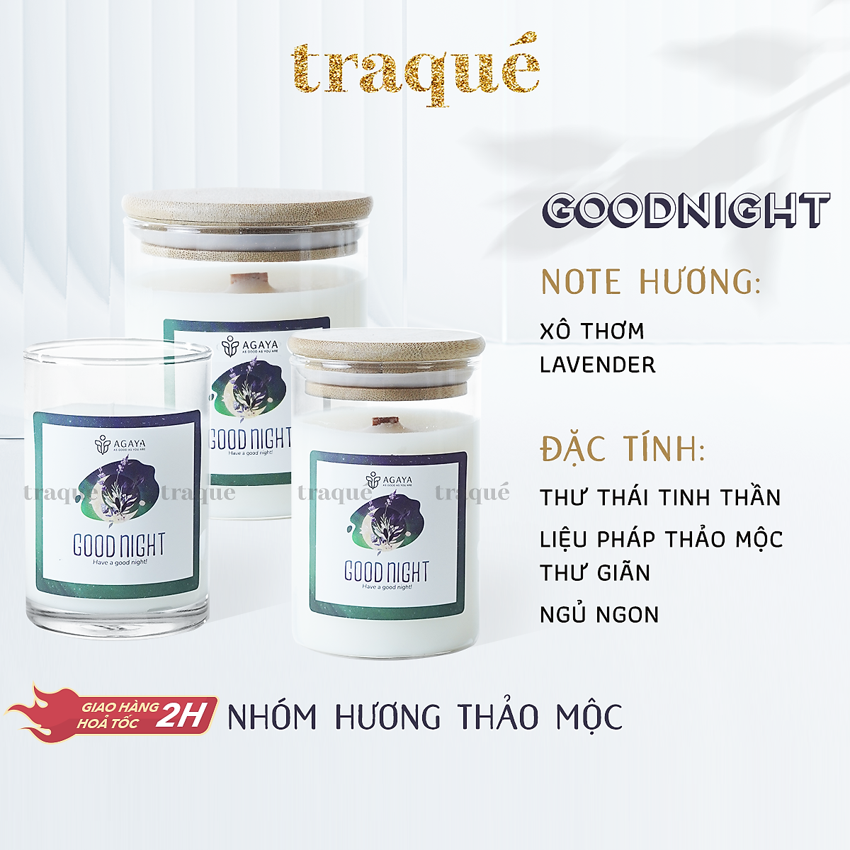 Nến thơm Candle Cup/Agaya - Hương Thảo Mộc GOODNIGHT