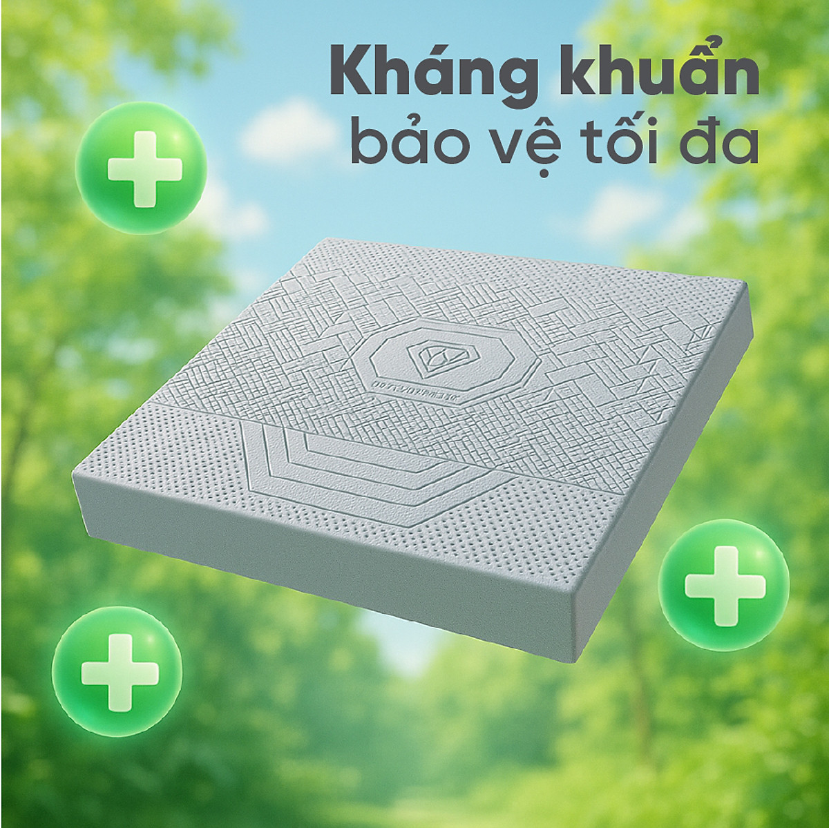 Nệm Cao Su Kim Cương 5Zone Than Hoạt Tính BIOLUX