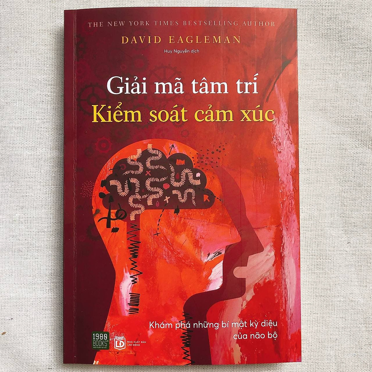 Giải mã tâm trí - Kiểm soát cảm xúc