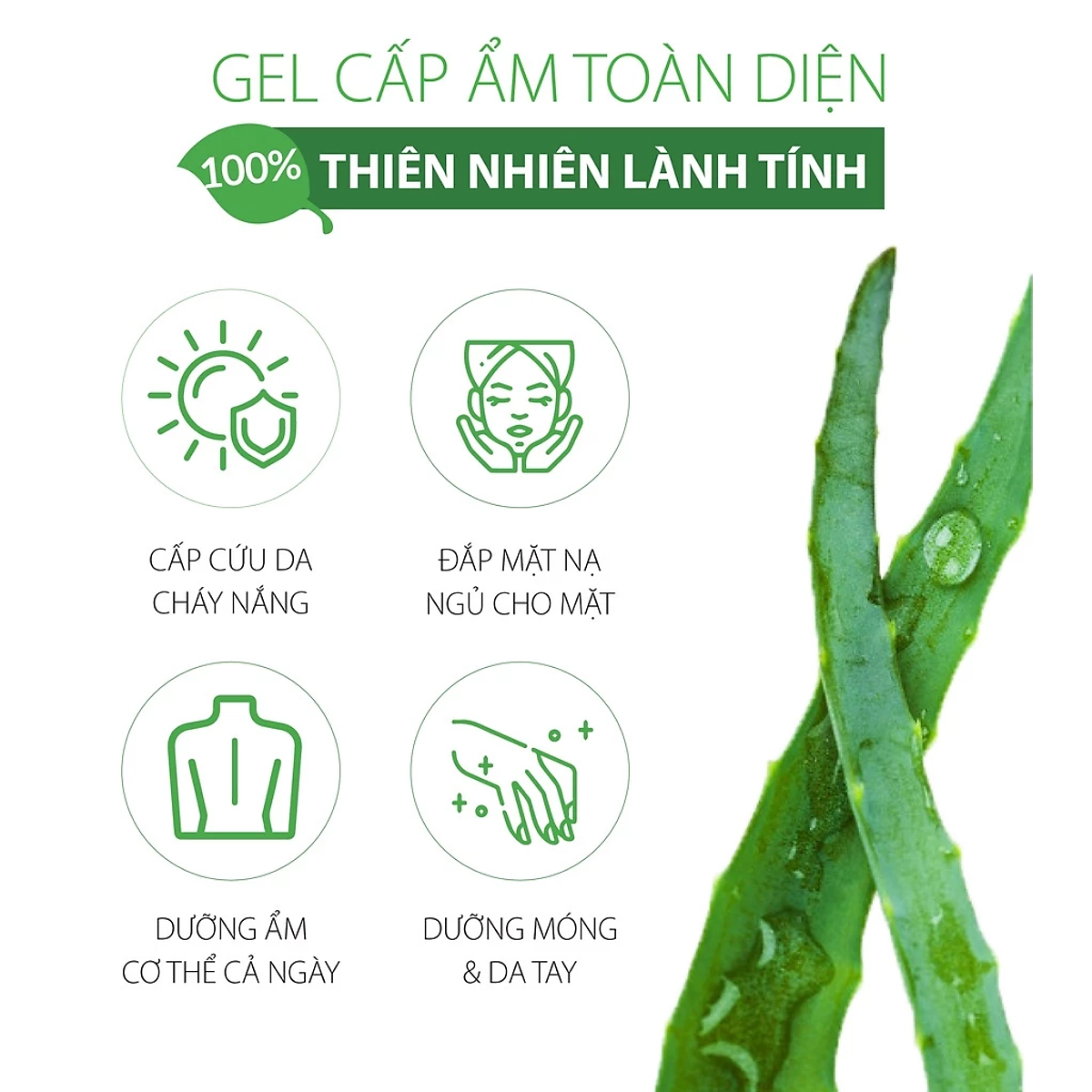 Gel nha đam dưỡng da & cấp ẩm 98% MILAGANICS phù hợp với da khô, nhạy cảm 300ml (hũ)
