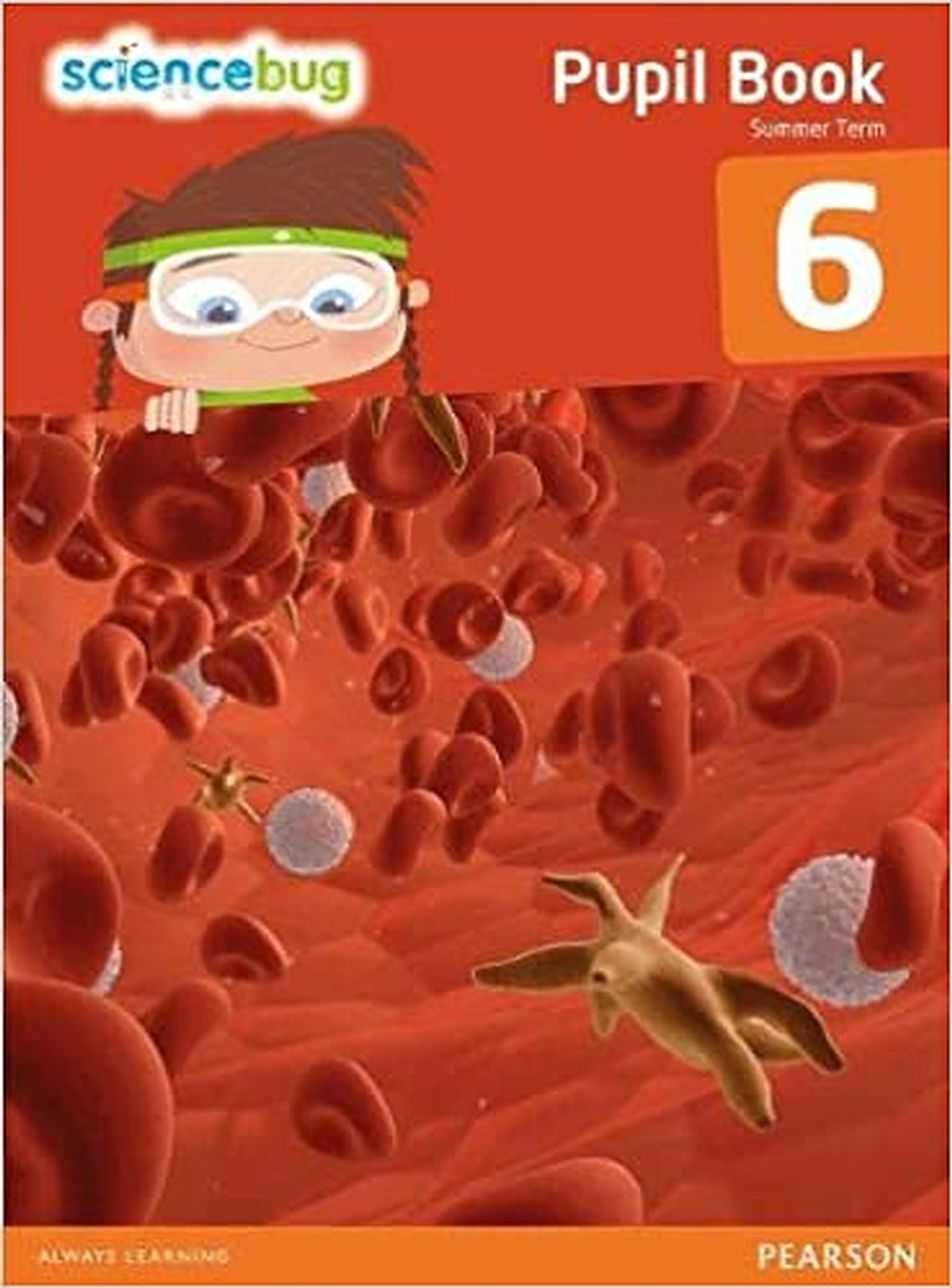 Science Bug Pupil Book Year 6