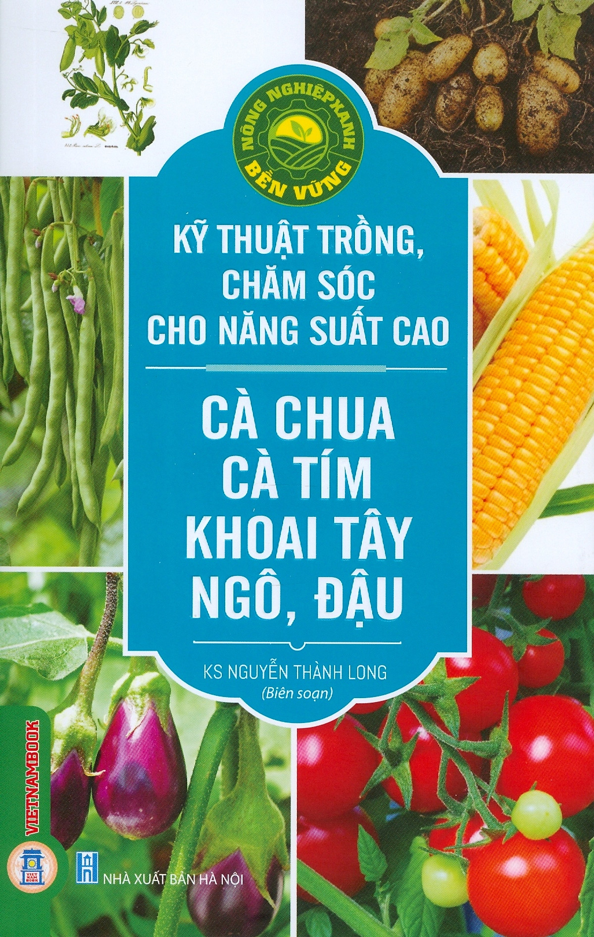 Kỹ Thuật Trồng, Chăm Sóc Cho Năng Suất Cao: Cà Chua, Cà Tím, Khoai Tây, Ngô, Đậu