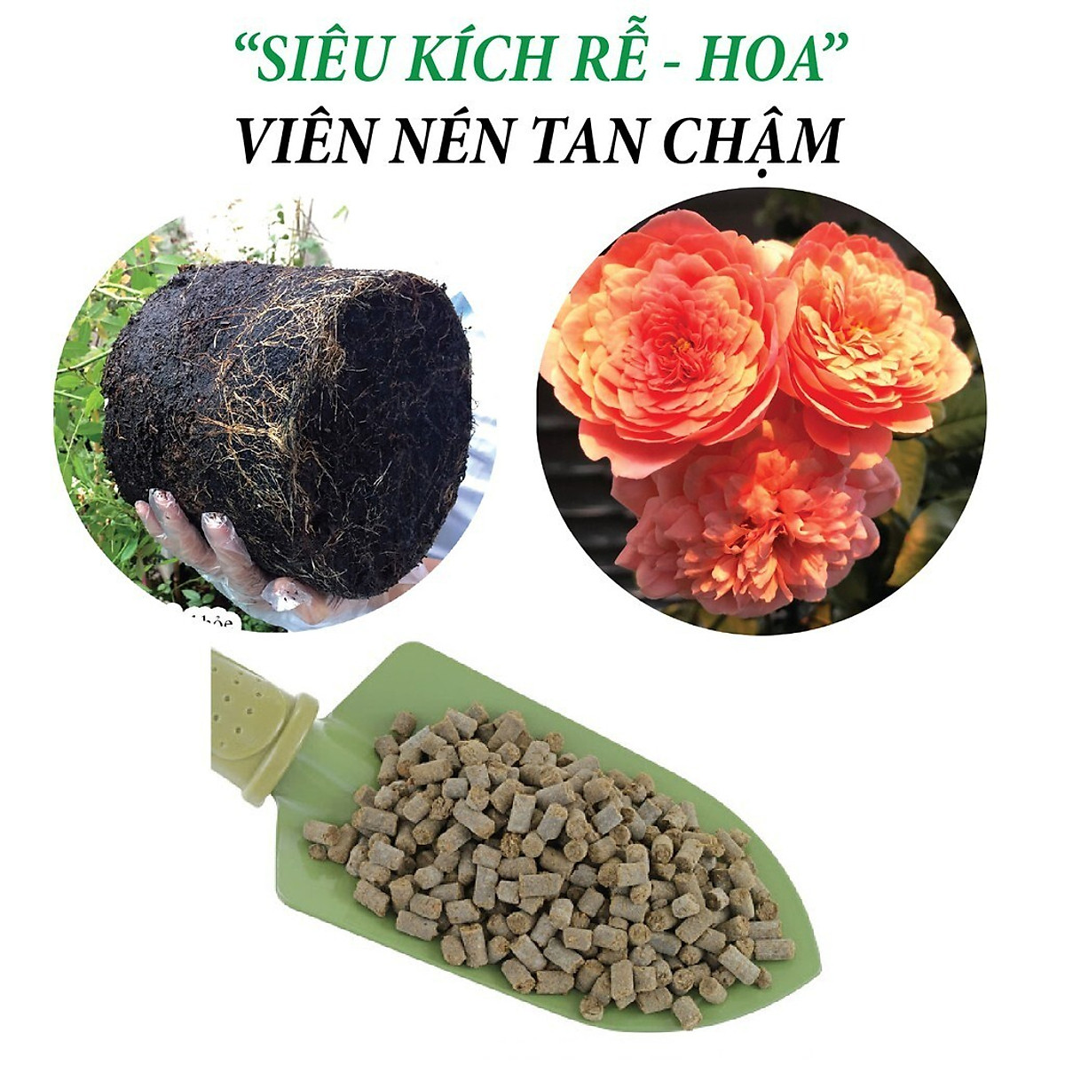 Phân bón hữu cơ rong biển DOCNEEM túi 1kg, kết hợp neem cake kích rễ mầm lá, cho Hoa hồng, phong lan, cây cảnh, rau sạch