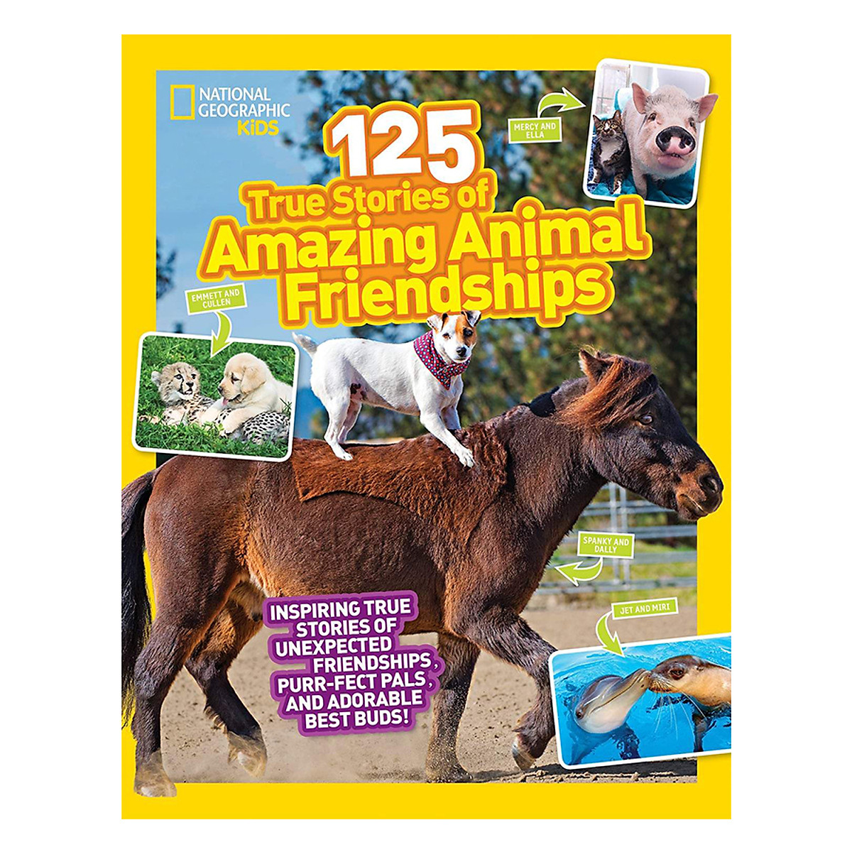 Mua National Geographic Kids 125 True Stories Of Amazing Animal Friendships Mua National Geographic Kids 125 True Stories Of Amazing Animal Friendships