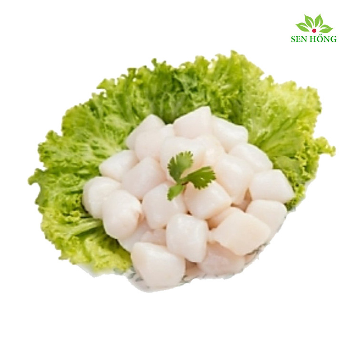 Cồi sò điệp size 60-80  200gr