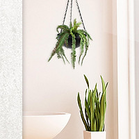 Mua 2x Hanging Flower Pot Iron Flowerpot Decorative for Home ...