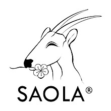 SAOLA Official Store 